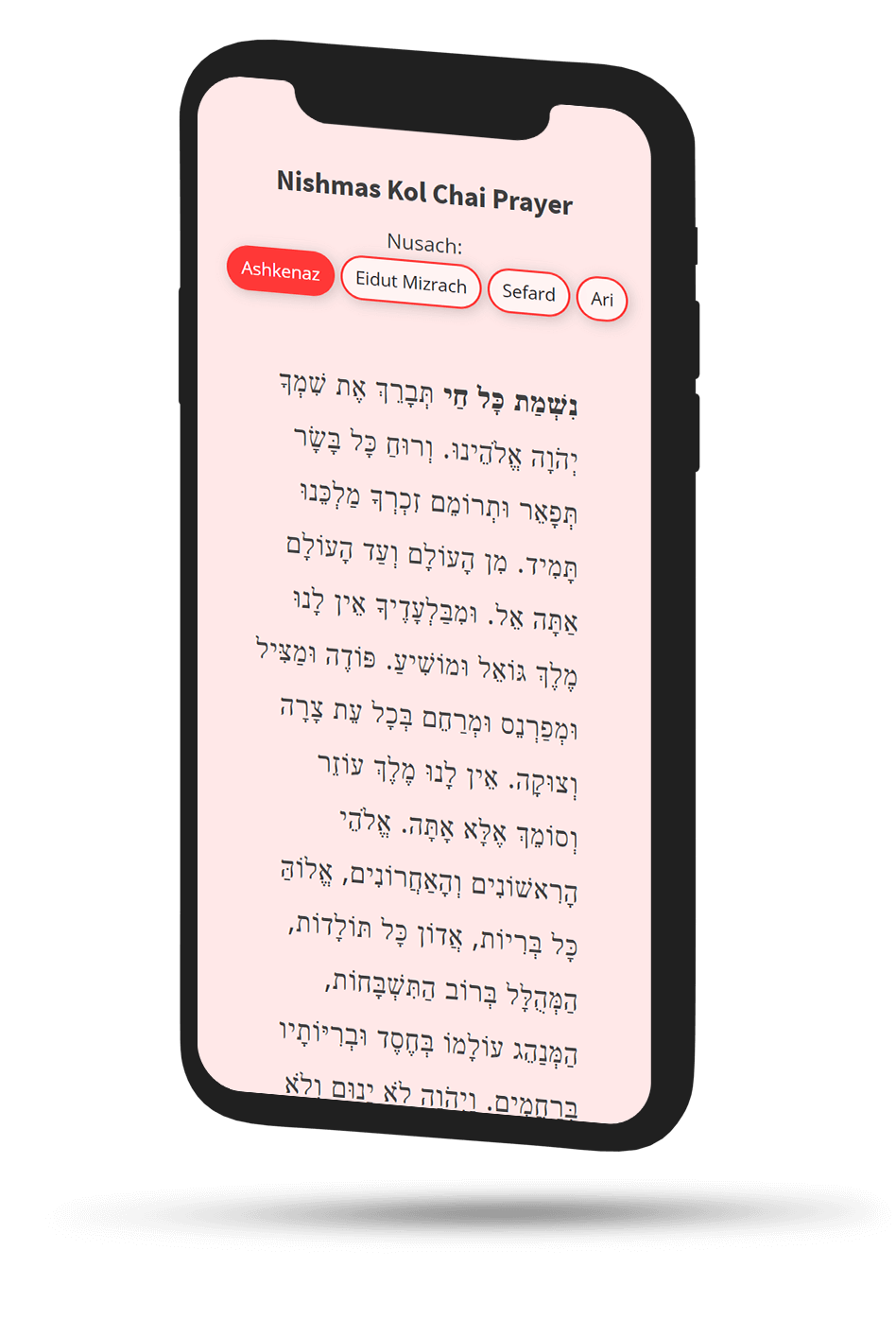 Nishmat Kol Chai prayer text online
